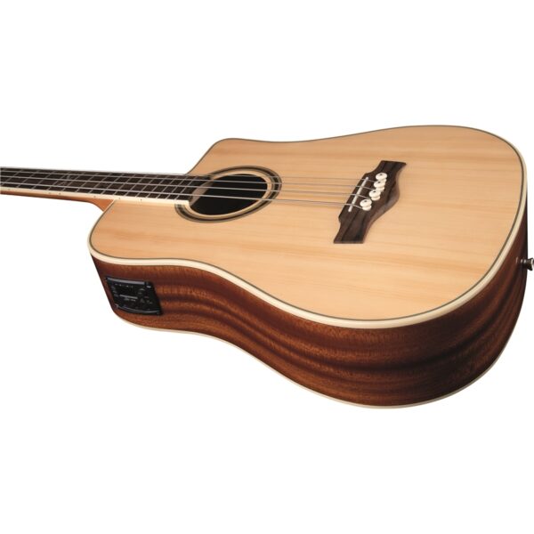 Basso Acustico Eko NXT-B100CE